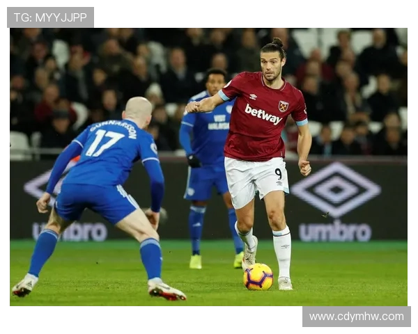 卡迪夫城足球俱乐部发展历程与球队文化传承研究