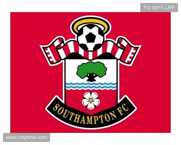 围绕富勒姆俱乐部解析球队历史与城市文化传承及未来发展蓝图前景