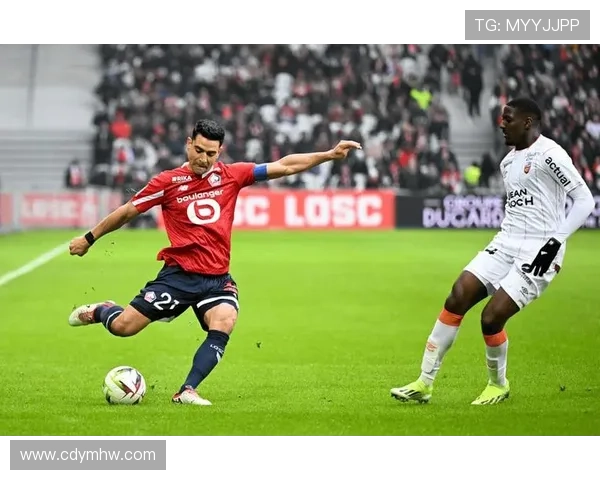 以里尔足球俱乐部为核心的法甲劲旅崛起与青训传奇之路六年征程史 以里尔足球俱乐部为核心的法甲劲旅崛起与青训传奇之路六年征程史