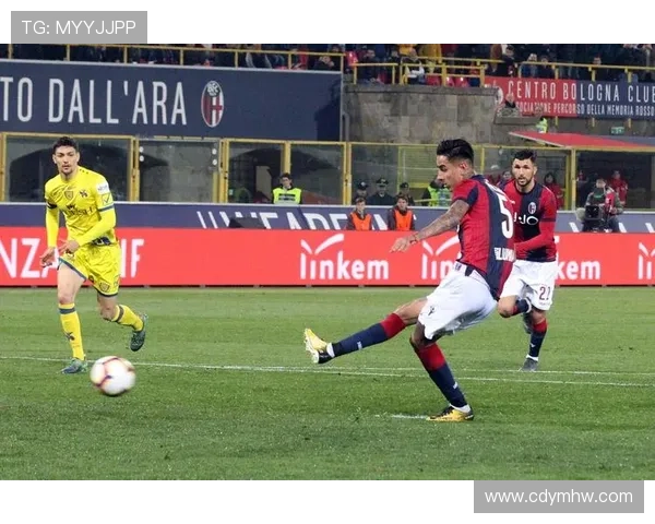 博洛尼亚俱乐部百年传承与现代足球崛起之路全景解析战略发展与文化影响 博洛尼亚俱乐部百年传承与现代足球崛起之路全景解析战略发展与文化影响